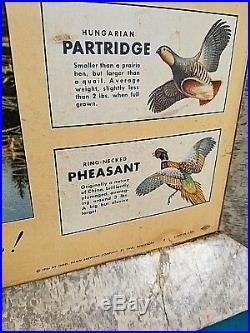 Vintage 1956 Hamms Beer Cardboard Wildlife Hunting Sign Fish Fishing 33X26