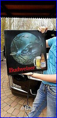 Vintage Budweiser Beer Brewery Bass Fish Box Light Sign Non Motion wildlife