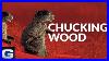 Woodchucks-Original-Geico-Insurance-01-vwg